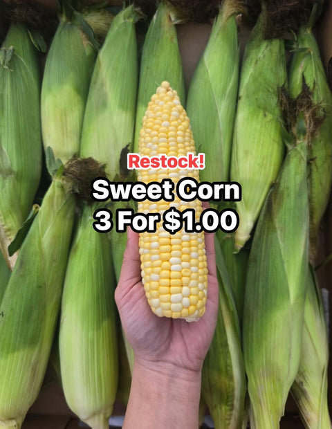 Corn (Promo) (EA)