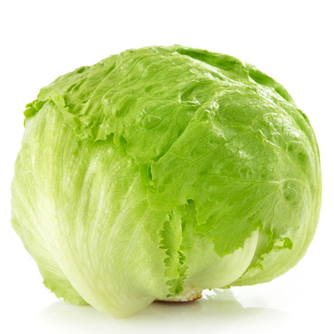 Lettuce Iceberg 24s Full Case (Premium Quality)