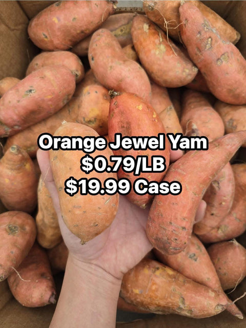 Orange Jewel Yam (PROMO) (LB)