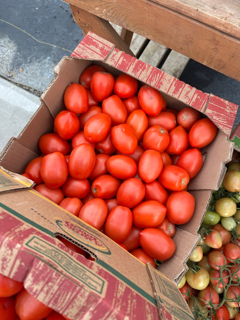 Tomato Roma Case 25LB (Promo)