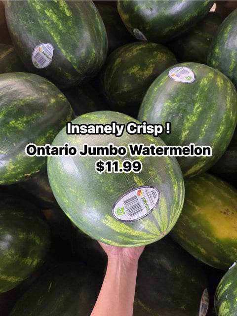Watermelon Jumbo (Promo) (Canadian)