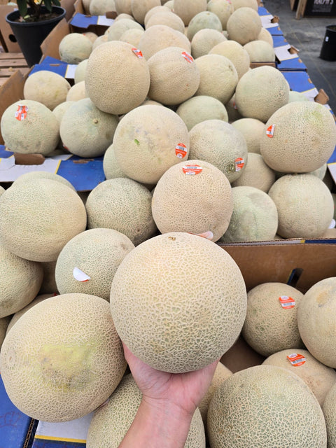 Cantaloupe (Clearance) (EA)