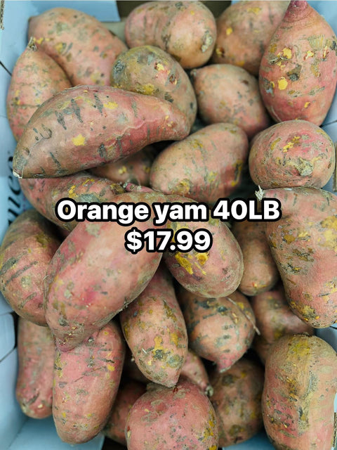 Jumbo Orange Yam 40lb