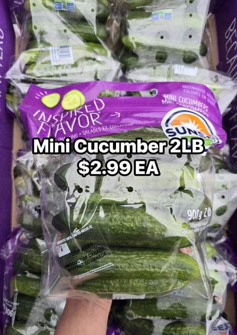 Mini Cucumber 2LB (PROMO)