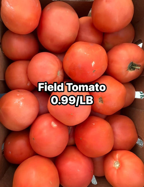 Tomato Field (Promo)