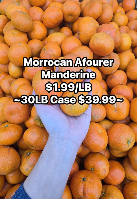 Moroccan Afourer Manderine (LB) (Promo)