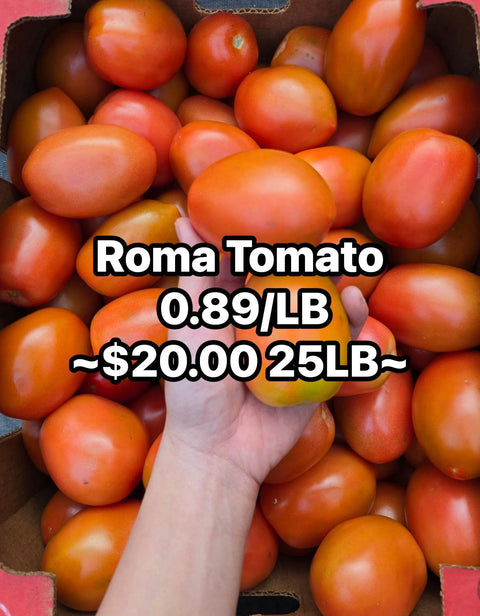 Tomato Roma (Promo) (LB)