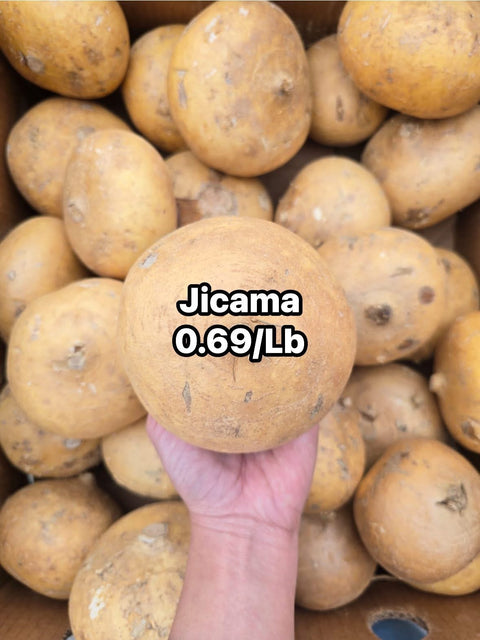 Jicama (PROMO) (LB)
