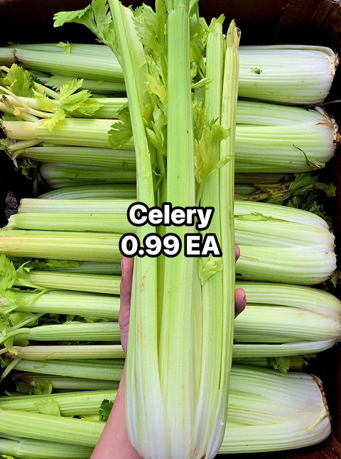 Imperfect Celery (PROMO) (EA)