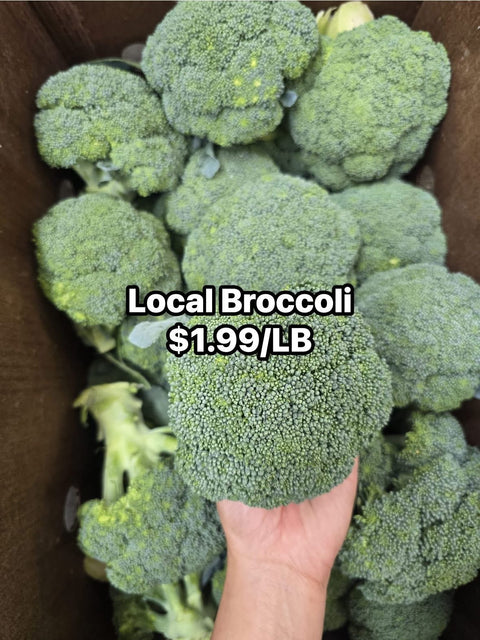 Broccoli (Promo) (Local)