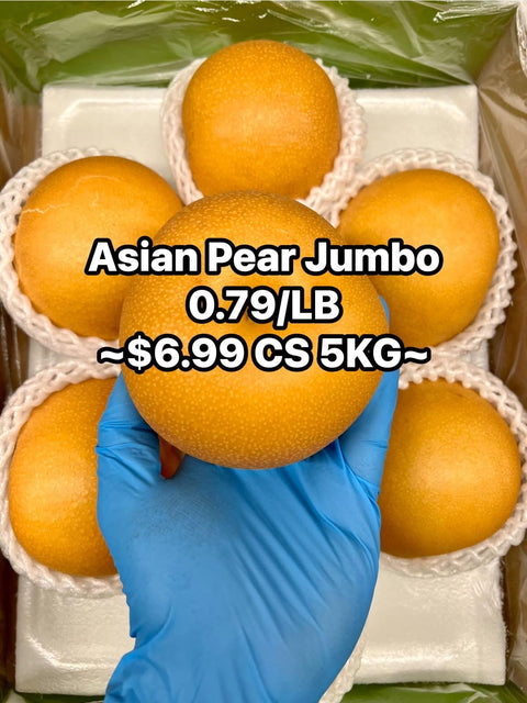 Asian Pear Jumbo (Promo) (LB)