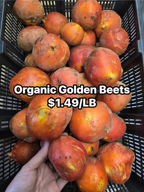 Organic Golden Beets (Promo)(LB)