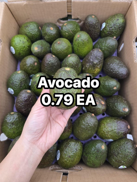 Avocado Hass (Semi Ripe) (EA) (Promo)