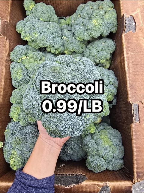 Broccoli (PROMO) (LB)