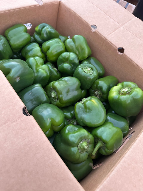 Green Pepper Choice 25LB (PROMO)