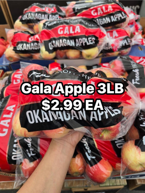 Apple Gala 3LB (EA)