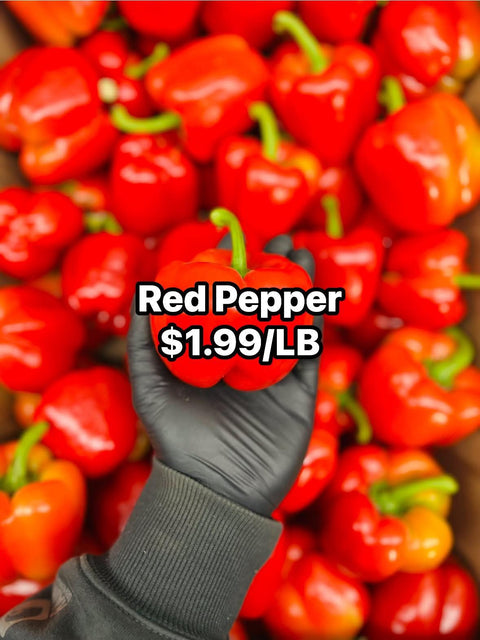 Red Pepper (PROMO)(LB)