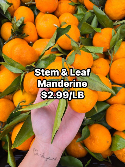 Stem & Leaf Manderine (Promo)