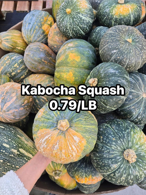 Kabocha Squash (PROMO)