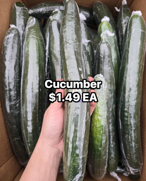 Long English Cucumber(Promo) (EA)