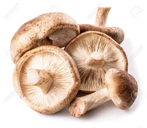 Mushroom Shiitake (LB) (No.1 Grade) - Producecart