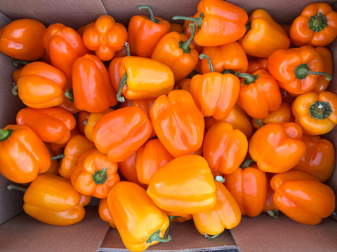 Orange Pepper Case 25LB