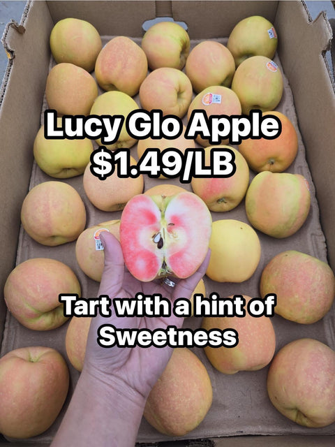 Lucy Glo Apple (PROMO) (LB)