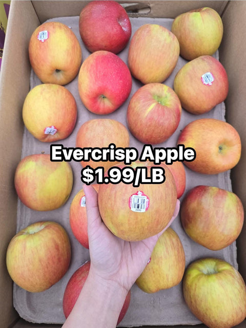 Evercrisp Apple (LB) (Promo)