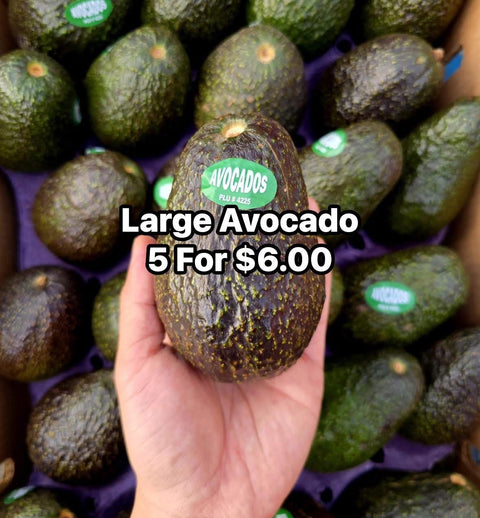 Avocado (EA)(Promo)