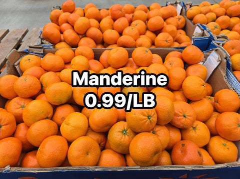 Manderine (Promo)