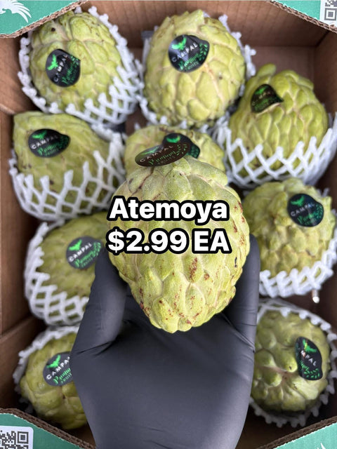 Atemoya (Promo) (EA)