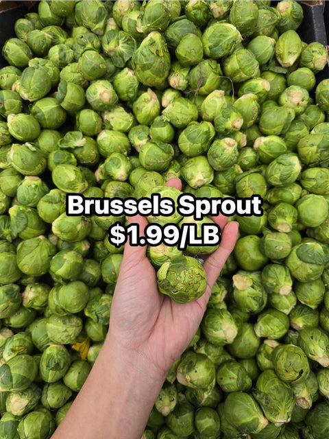 Brussel Sprout (PROMO)