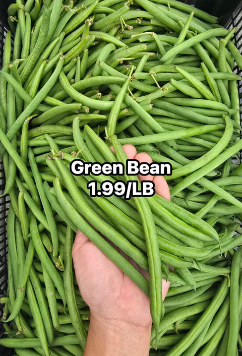 Green Bean (LB) (Promo)