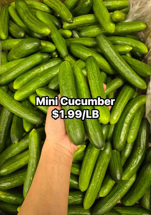 Mini Cucumber (Promo) (LB)