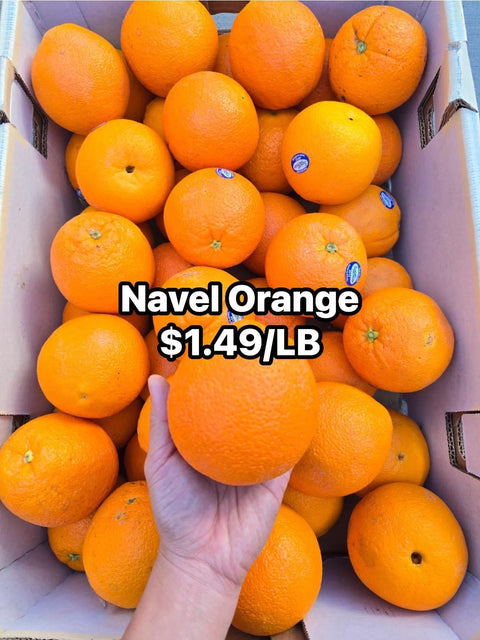 Orange Navel (Promo) LB