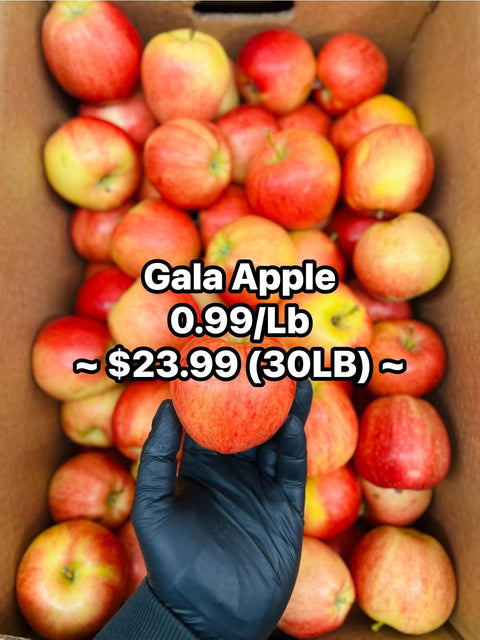 Gala Apple (Promo)(LB)