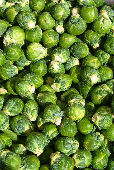 Brussel Sprouts PROMO (LB)