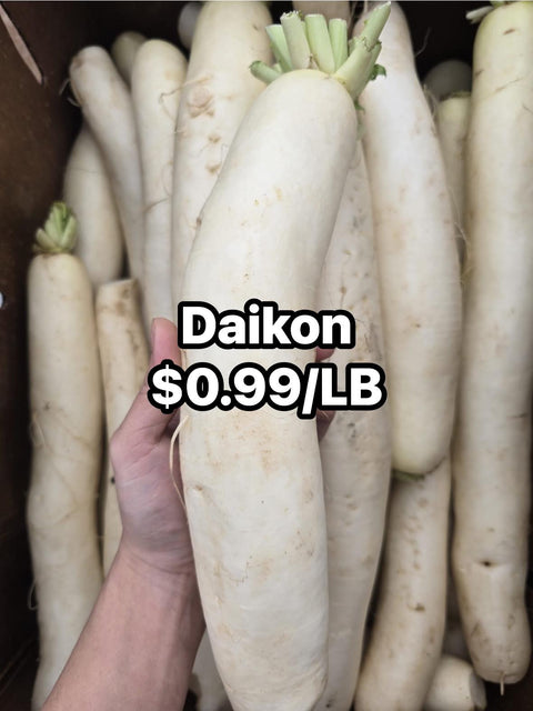 Daikon Radish (PROMO) (LB)