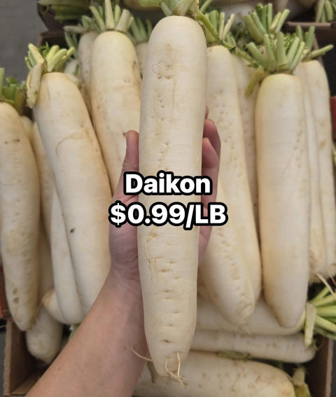 Daikon Radish (Promo)