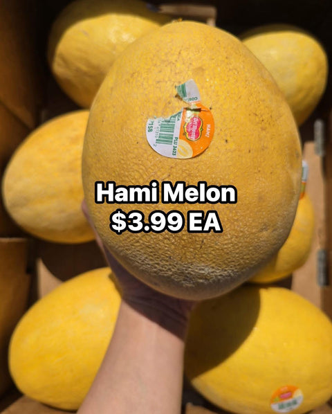 Hami Melon (Large)