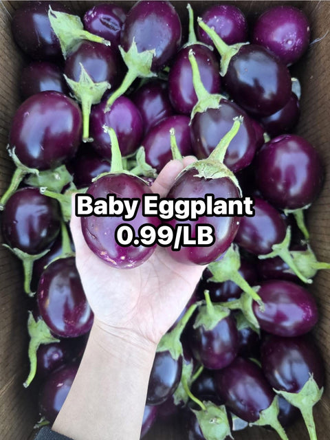 Eggplant Baby (Promo)