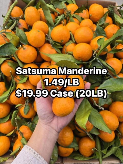 Satsuma Mandarin (STEM & LEAF) (LB)