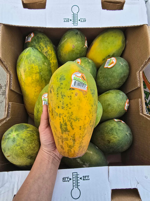 Papaya 35LB (Promo)(Case)