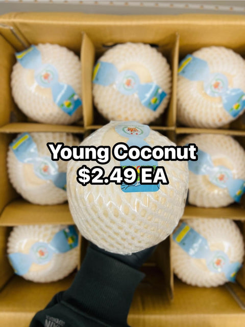 Young Coconut