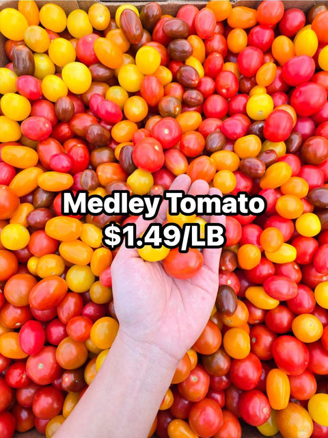 Medley Tomato (PROMO) (LB)