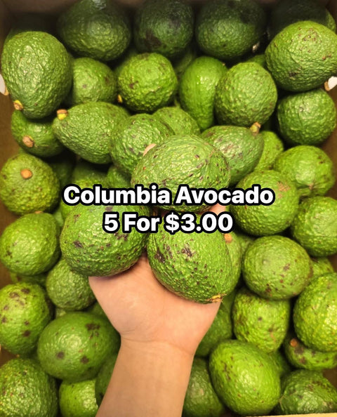 Avocado Columbia (EA)(Promo)