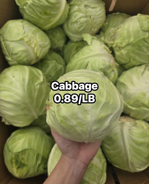Cabbage Green (Promo) (LB)