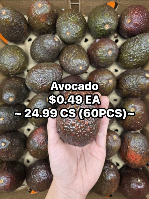 Avocado Hass (Promo)