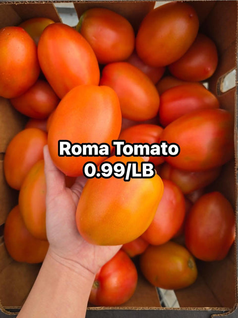 Tomato Roma (Promo) (LB)