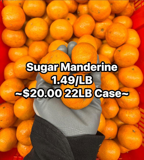 Sugar Manderine (PROMO) (LB)